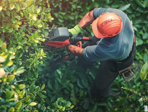 Những lưu ý khi sử dụng máy xén hàng rào